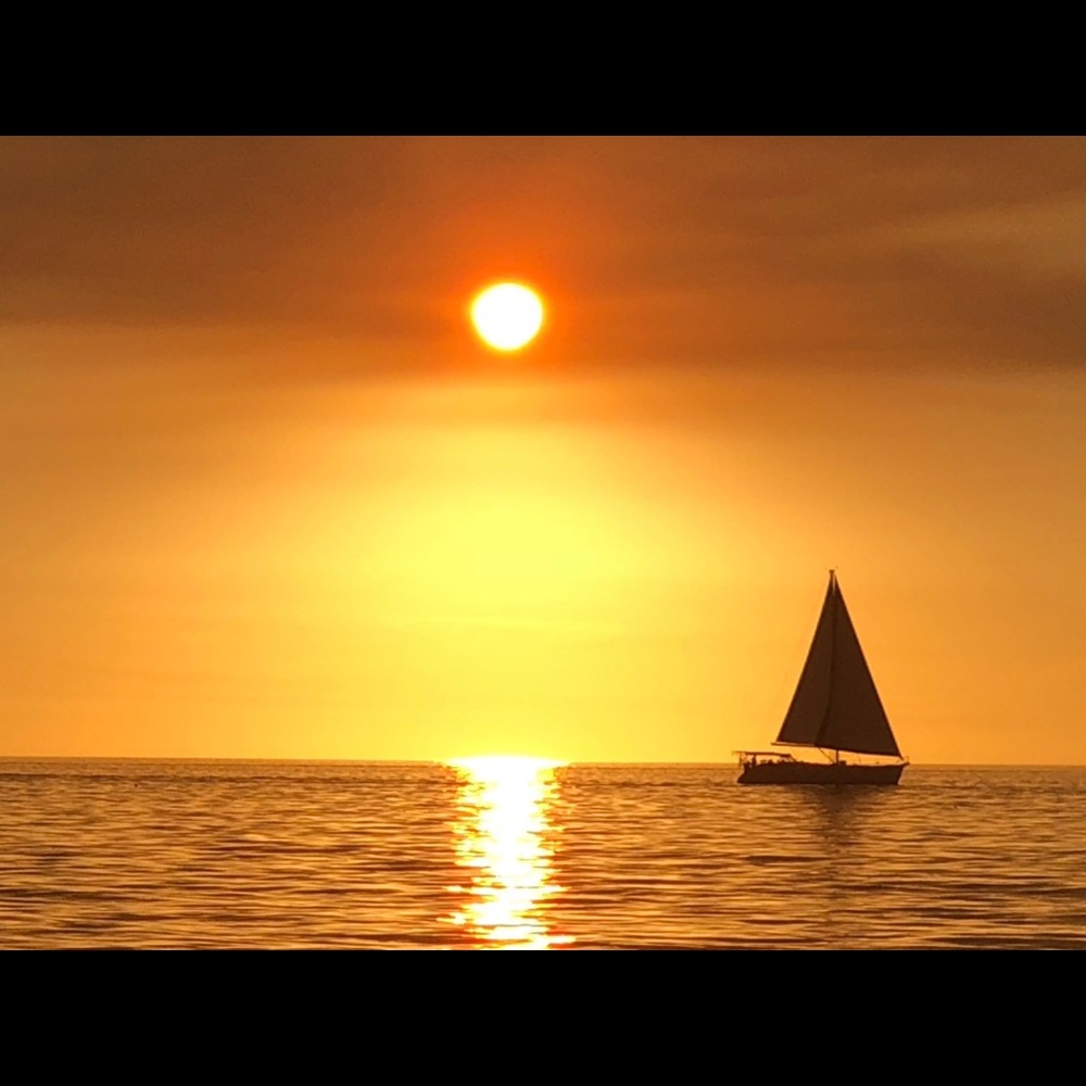 Meet your Posher, Alina